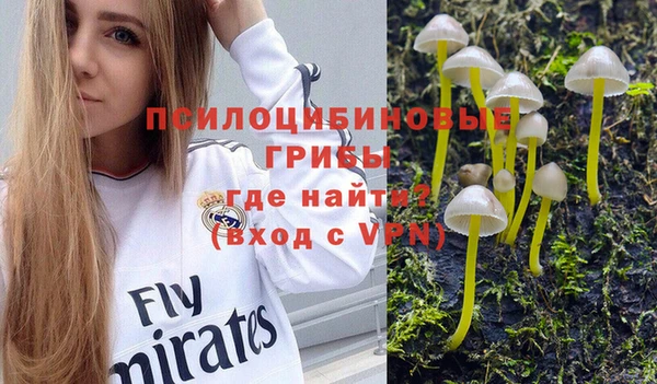 spice Арсеньев