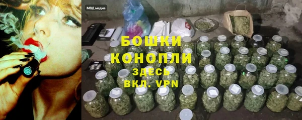 spice Арсеньев