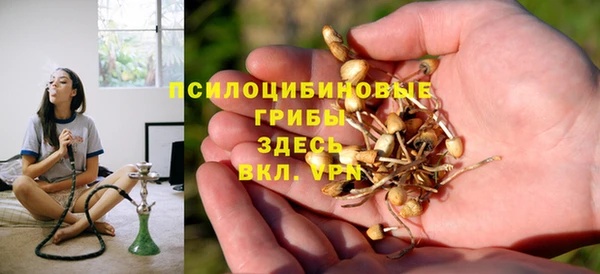 spice Арсеньев